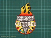 Click to enlarge 2008 Owasco Cub-o-ree